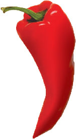 Καμπύλη